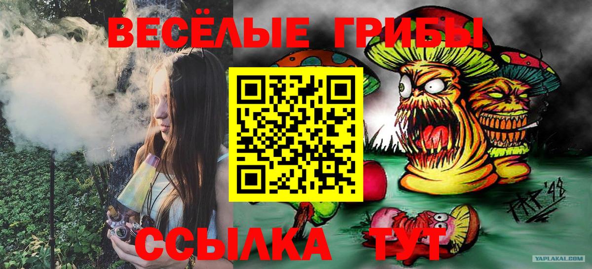 купить наркоту  Вход с VPN  Галлюциногенные грибы Magic Shrooms  Ирбит  Галлюциногенные грибы Psilocybine cubensis 